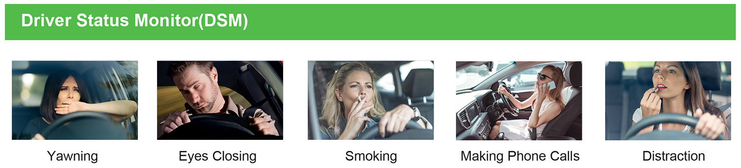 DSM (Driver Status Monitoring) DSM (Driver Status Monitoring)